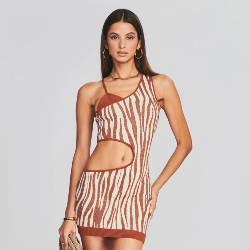 Retrofete Dimi Dress - Brown Zebra